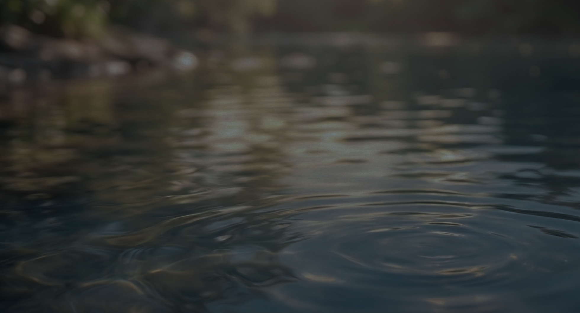 NEXIA CARD Background